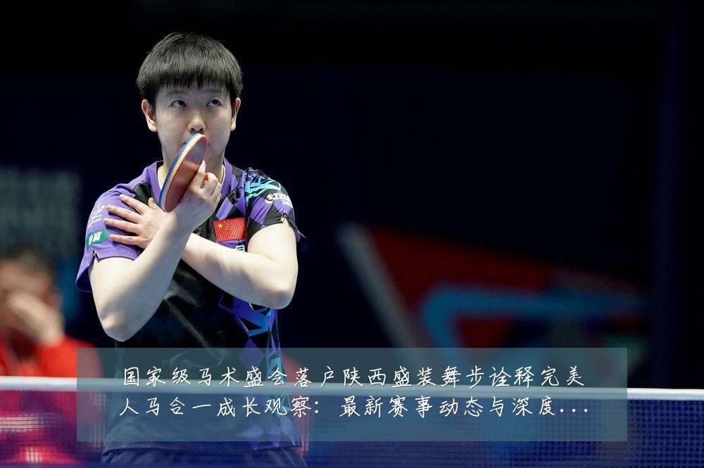 国家级马术盛会落户陕西盛装舞步诠释完美人马合一成长观察:最新赛事动态与深度分析